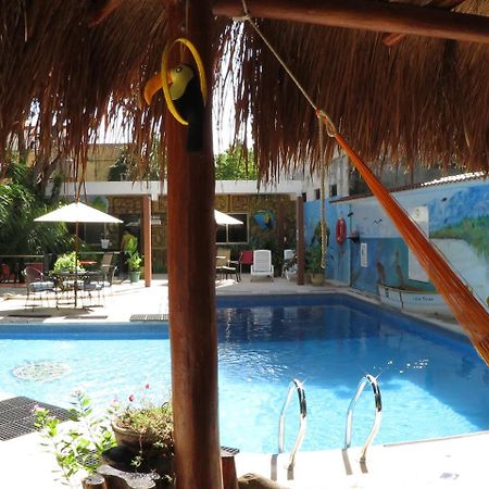 Casa Tucan Hotel Playa del Carmen Dış mekan fotoğraf