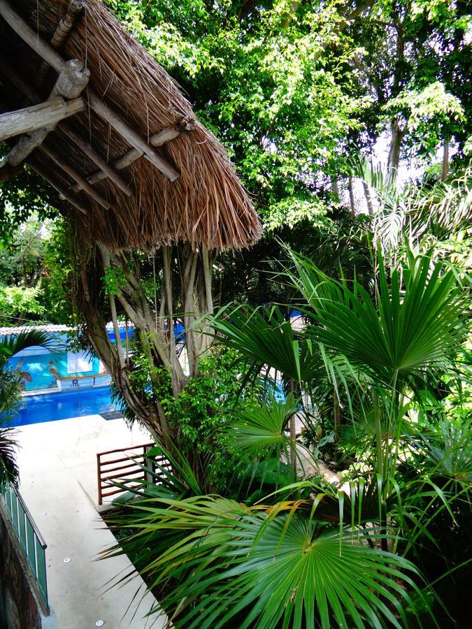 Casa Tucan Hotel Playa del Carmen Dış mekan fotoğraf