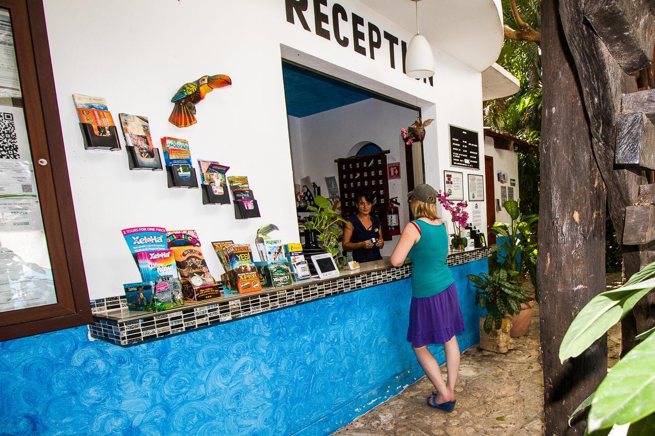 Casa Tucan Hotel Playa del Carmen Dış mekan fotoğraf