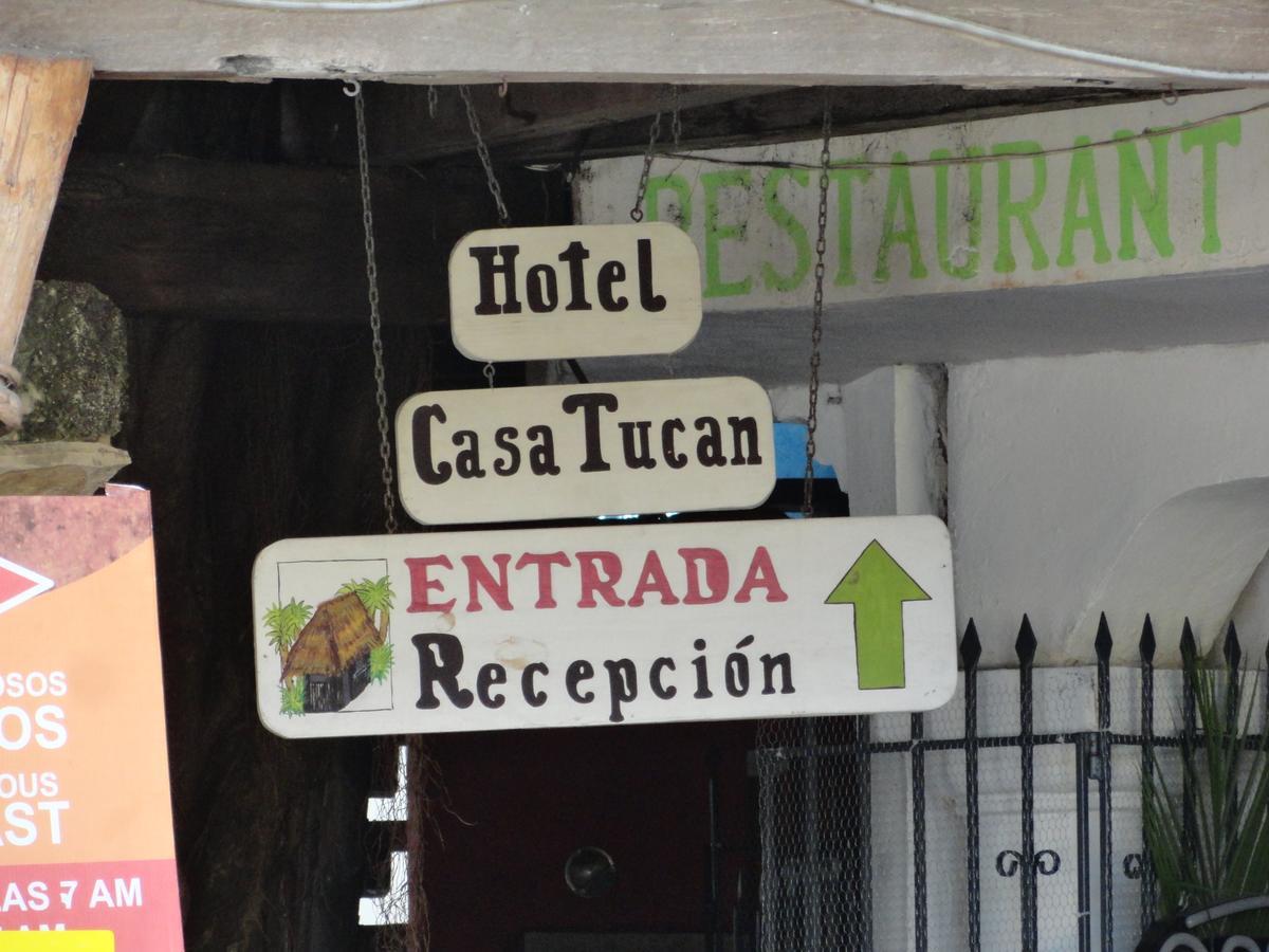 Casa Tucan Hotel Playa del Carmen Dış mekan fotoğraf