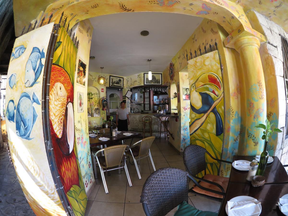 Casa Tucan Hotel Playa del Carmen Dış mekan fotoğraf