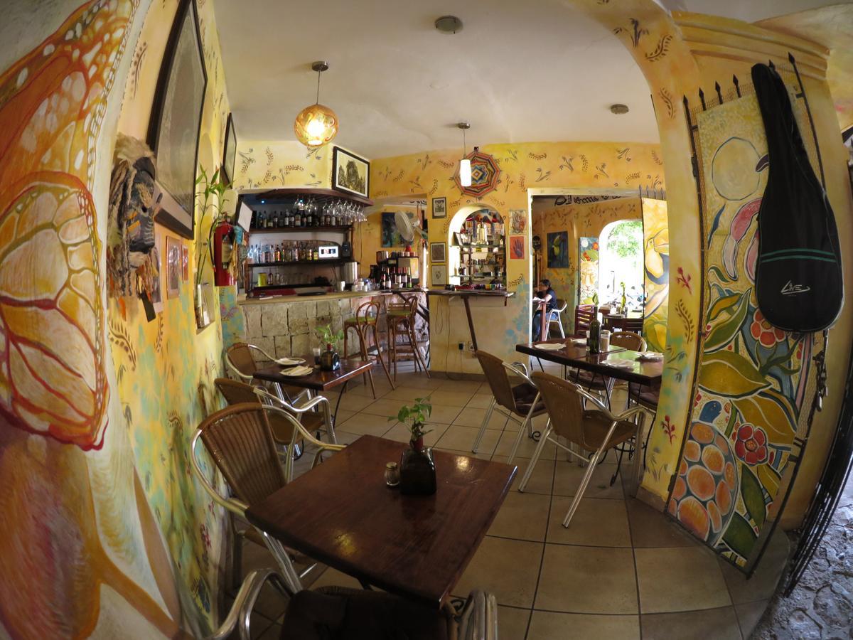 Casa Tucan Hotel Playa del Carmen Dış mekan fotoğraf