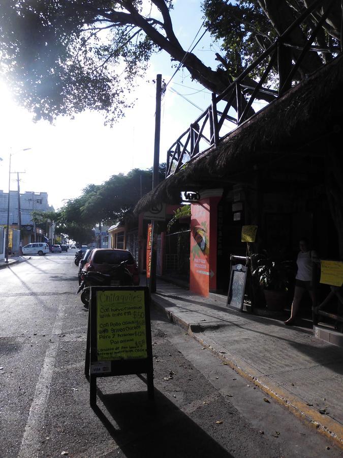 Casa Tucan Hotel Playa del Carmen Dış mekan fotoğraf