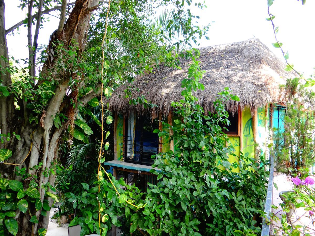 Casa Tucan Hotel Playa del Carmen Dış mekan fotoğraf