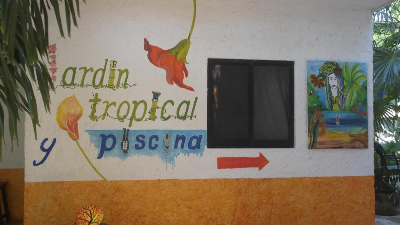 Casa Tucan Hotel Playa del Carmen Dış mekan fotoğraf