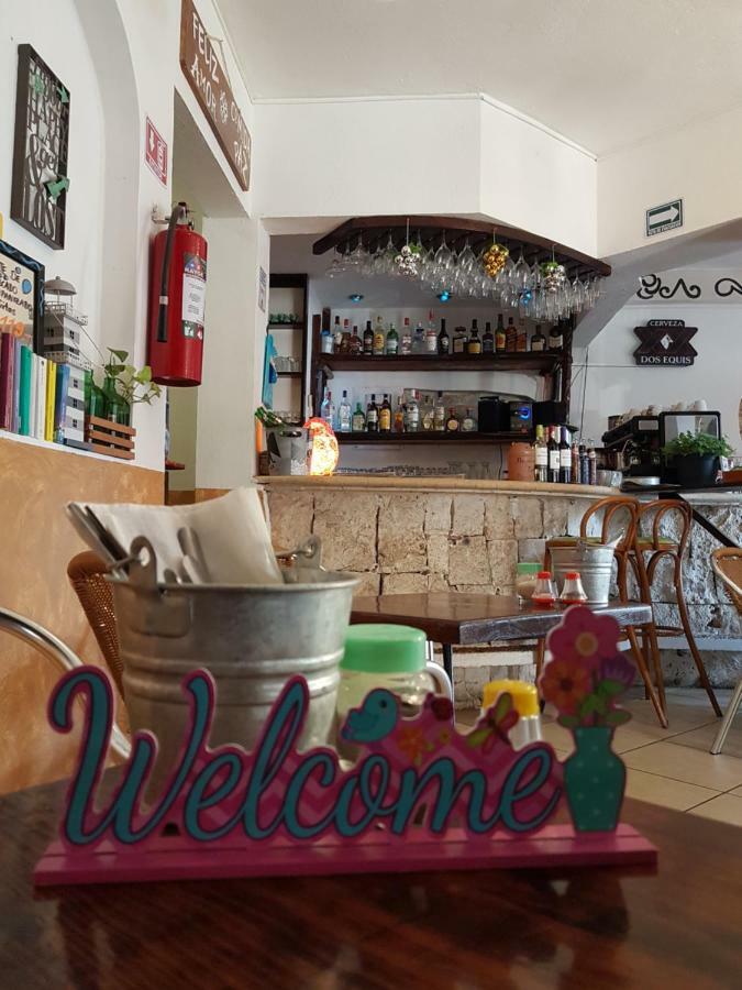 Casa Tucan Hotel Playa del Carmen Dış mekan fotoğraf